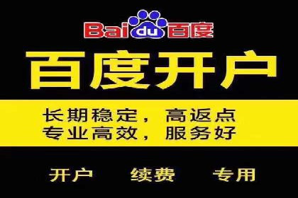 百度竞价包年推广策略深度解读与案例分析